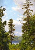Tree, Cloud and Sky