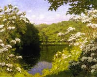 Lily Pond, Matunuck, Rhode Island