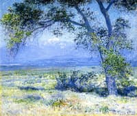 California Landscape