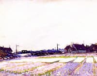 Hyacinth Field, Belgium