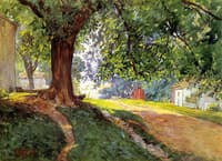 The Constitutional Elm
