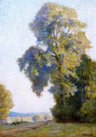 Hazy Morning, Lombardy Poplars