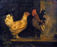 Study from Nature - Chickens