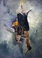 Study from Nature - Woodcock with a Green Heron