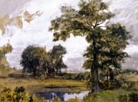 Oaks at Jamaica