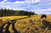 A Prairie Road