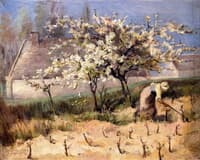 The Harvesters