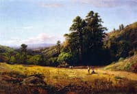Bay Area Landscape