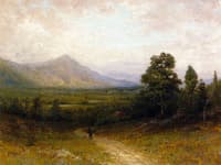 Adirondack Landscape