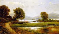 Marsh Landscape