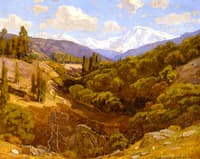 Sunny Slopes