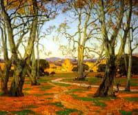 The Grove