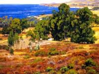 Laguna Beach