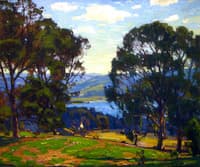 Near the Bay