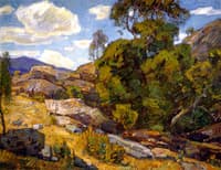 Rugged Landscape