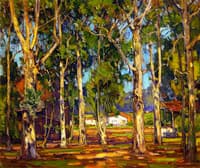 Eucalyptus, Laguna