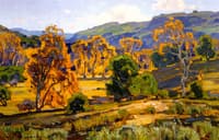 Laguna Canyon, Oaks and Sycamores