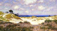 Windswept Dunes