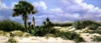 Lighthouse at Ponce Park