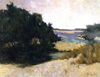 The Sand Dunes of San Francisco
