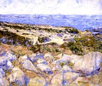Sand Dunes in Monterey