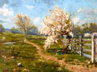 Spring Blossoms
