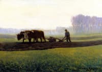 Oxen Ploughing