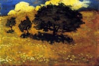 Trees in the Sun