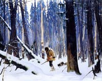 Trapper in the Woods