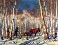 March in the Birch Woods