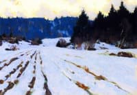 Furrows on the Snow