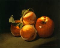 Still LIfe of Apples and Peaches