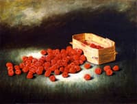 Still Life with Raspberries