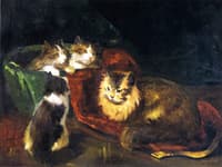 The Angora Cats