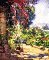 Bougainvillea, Mission San Juan Capistrano