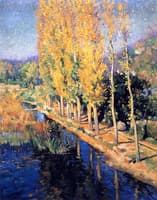 Poplars near Vernon, Fall