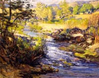 Creek - Laguna Canyon
