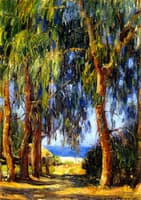 Niguel Canyon