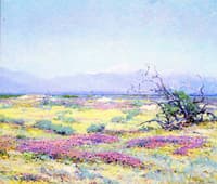 The Flowering Desert