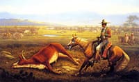 Vaqueros at Roundup