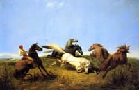 Hunting Wild Horses