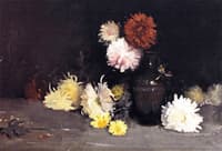 Chrysanthemums