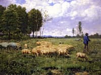 The Shepherd