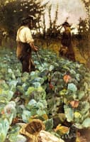 A Cabbage Garden