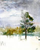 Winter Evening Sky