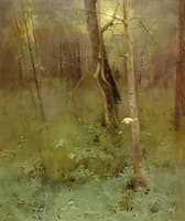 At the Edge of the Wood