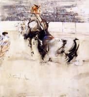 The Bullfight