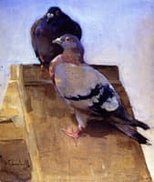 Pigeons on the Roof