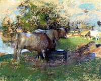 Pastureland