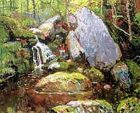 Forest Spring